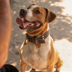 Hádész53_0 Hádész53_0