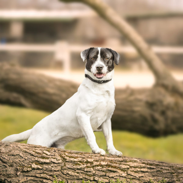 DSC03893_k DSC03893_k