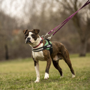 DSC04152_k DSC04152_k