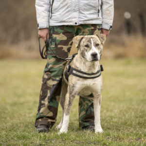 DSC04356_k DSC04356_k