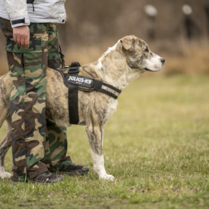 DSC04358_k DSC04358_k