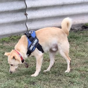 George10_0 George10_0