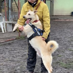 George11_0 George11_0