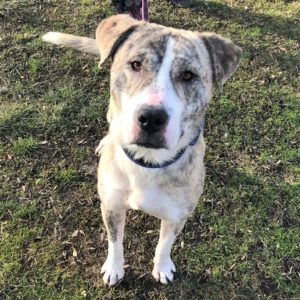 Marley2_001 Marley2_001