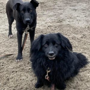 Luke-Cleo2 Luke-Cleo2