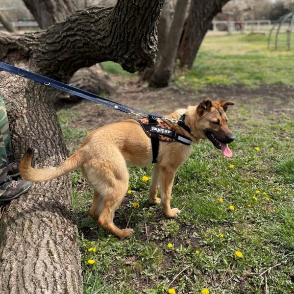 277793728_2166965223457019_519776984349387551_n 277793728_2166965223457019_519776984349387551_n