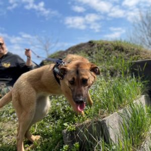 278043515_2166965340123674_1529361490634149065_n 278043515_2166965340123674_1529361490634149065_n