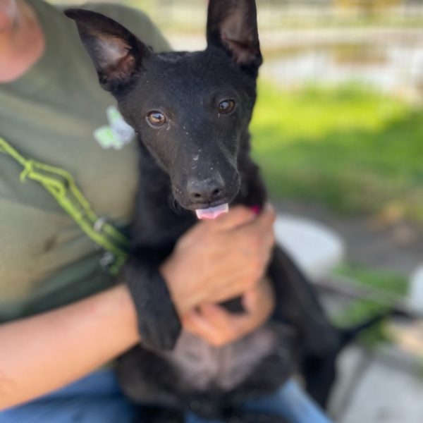 280707644_2198388540314687_2950869414239398423_n 280707644_2198388540314687_2950869414239398423_n