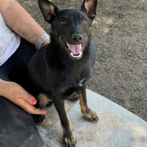 280752081_2198375416982666_2970050682757002736_n