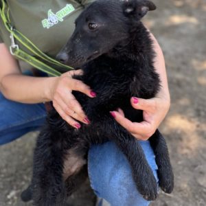 280948239_2198388520314689_8477740229631363947_n 280948239_2198388520314689_8477740229631363947_n