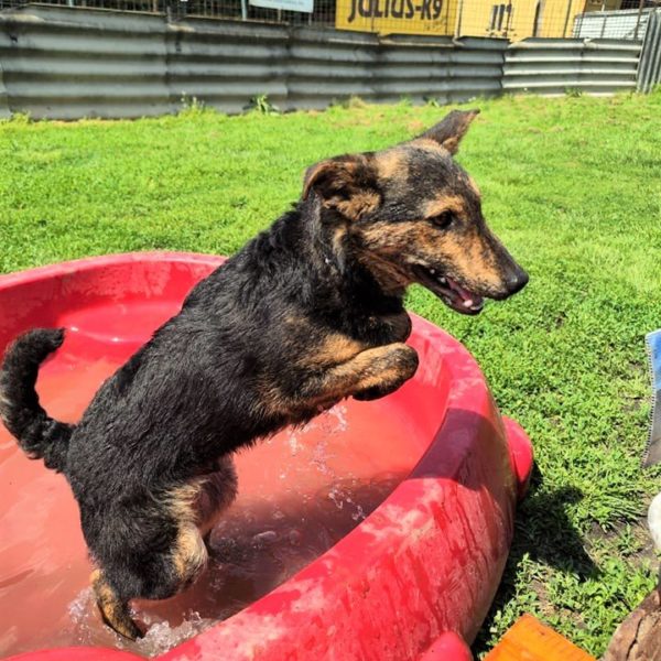 281552131_2198384653648409_103759762611578415_n 281552131_2198384653648409_103759762611578415_n