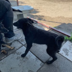 281566123_2198388806981327_8135655223832644105_n 281566123_2198388806981327_8135655223832644105_n