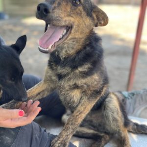 281850425_2198384683648406_4352905751843769766_n 281850425_2198384683648406_4352905751843769766_n