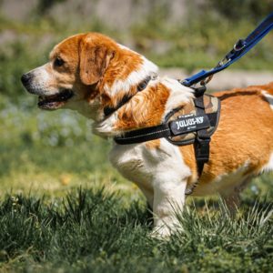 Carlos18_0 Carlos18_0