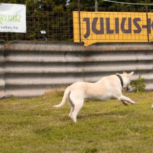 283540838_2210685509084990_1110216672375067810_n 283540838_2210685509084990_1110216672375067810_n