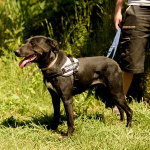 284696053_2217513205068887_8737832776884811694_n