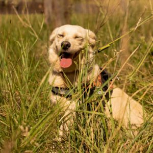 285336147_2220477838105757_1968913950083130781_n