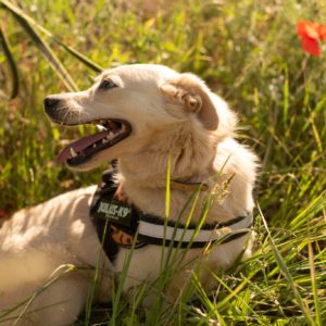 285477711_2220477791439095_1317796189199853355_n