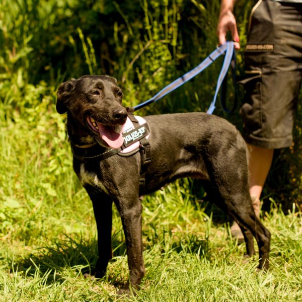 285511274_2217512928402248_5951150656341037341_n