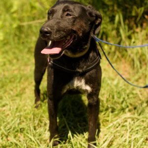 285529528_2217513128402228_2176806471823486176_n