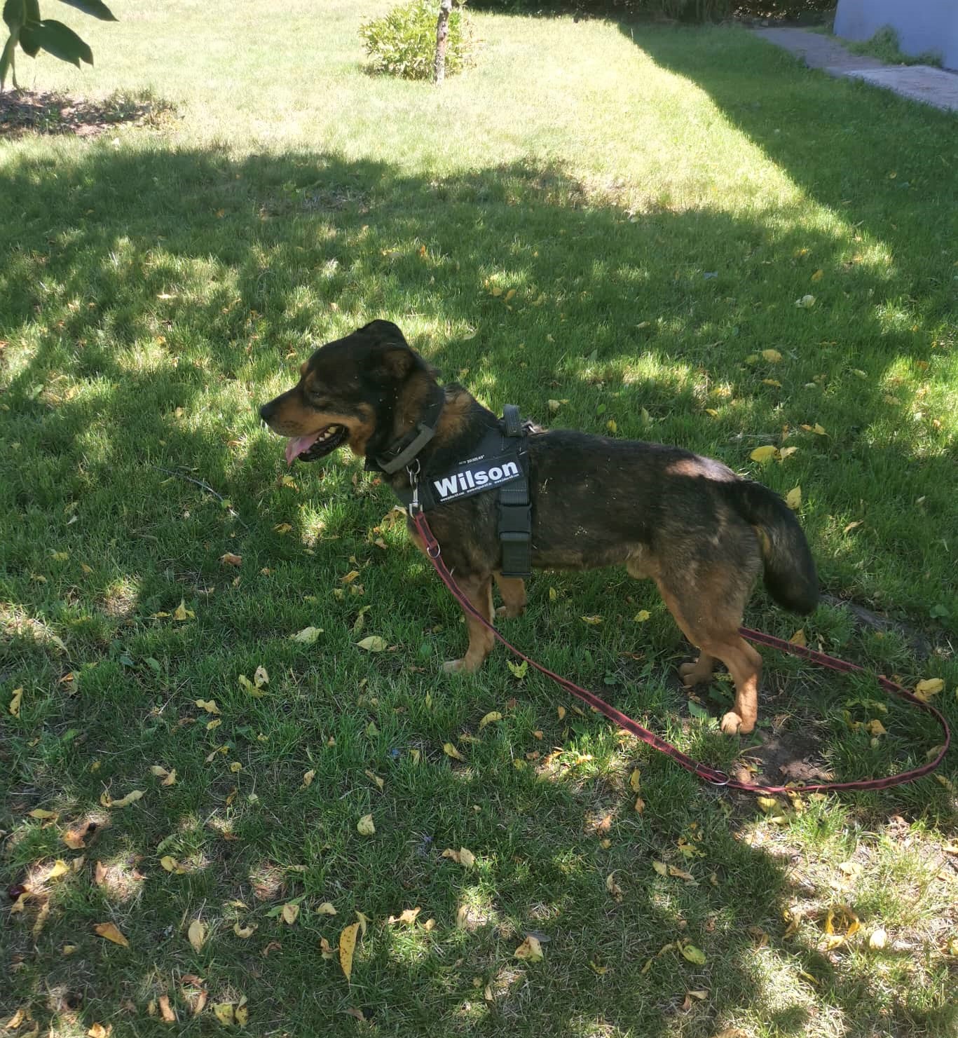 Wilson_2022.06.18._1