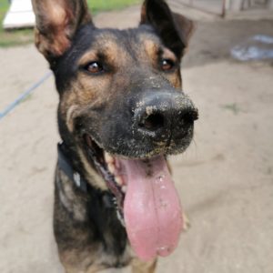 240589029_2004012946418915_9211051195992126155_n 240589029_2004012946418915_9211051195992126155_n