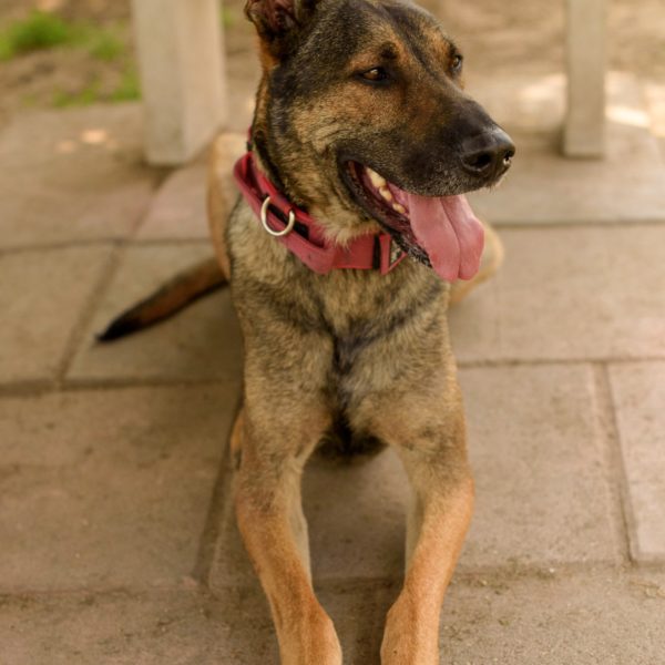 287623897_2225928954227312_1918098593166488513_n 287623897_2225928954227312_1918098593166488513_n