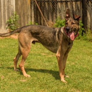 288992073_2225928800893994_907756053355908906_n 288992073_2225928800893994_907756053355908906_n