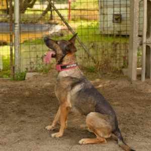 289080666_2225928734227334_9060666477755773703_n 289080666_2225928734227334_9060666477755773703_n