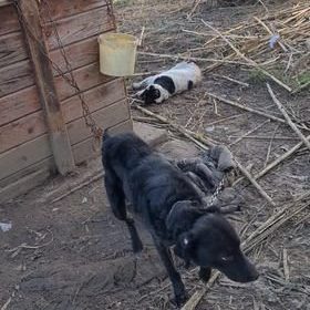 292129453_2243000872520120_258199085307793556_n 292129453_2243000872520120_258199085307793556_n