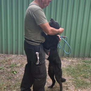 292403705_2243001382520069_5577832261839147120_n 292403705_2243001382520069_5577832261839147120_n