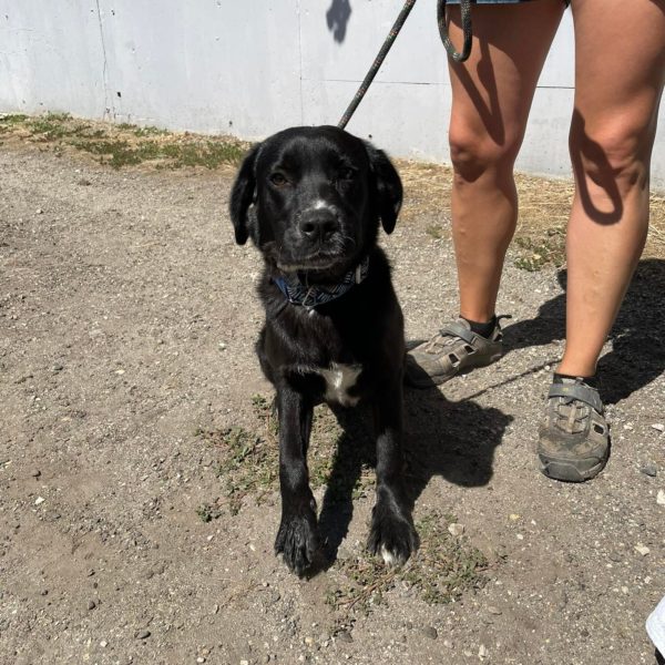 292743131_2244613145692226_7789257628071534809_n 292743131_2244613145692226_7789257628071534809_n