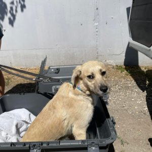 293602978_2244613419025532_250694371360010278_n 293602978_2244613419025532_250694371360010278_n