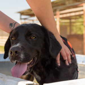 fotozas09_kesz_-116 fotozas09_kesz_-116