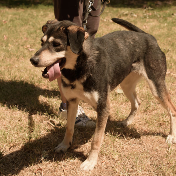 fotozas10_kesz_01-173 fotozas10_kesz_01-173