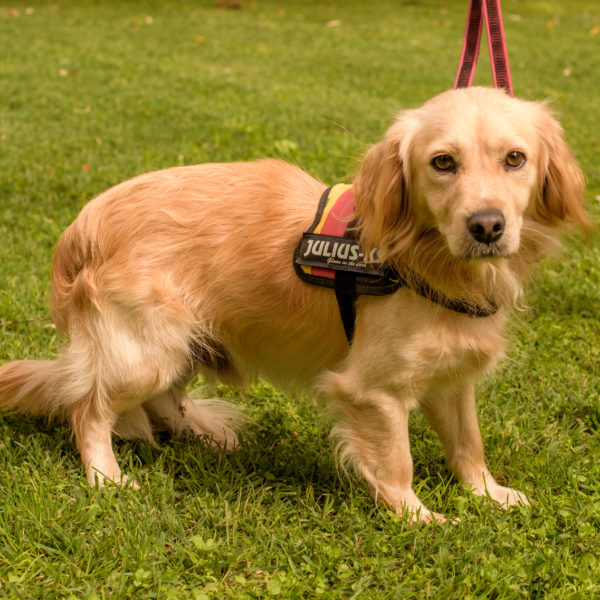 15_Ebarvahaz_fotozas (177 of 340) 15_Ebarvahaz_fotozas (177 of 340)