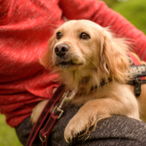 15_Ebarvahaz_fotozas (194 of 340) 15_Ebarvahaz_fotozas (194 of 340)