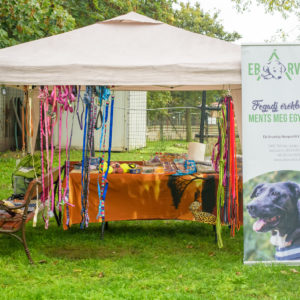 310230687_2309033995916807_3882044120399222547_n 310230687_2309033995916807_3882044120399222547_n