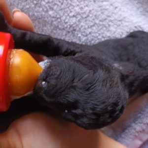 312026646_630600895409426_7116249452980730950_n 312026646_630600895409426_7116249452980730950_n