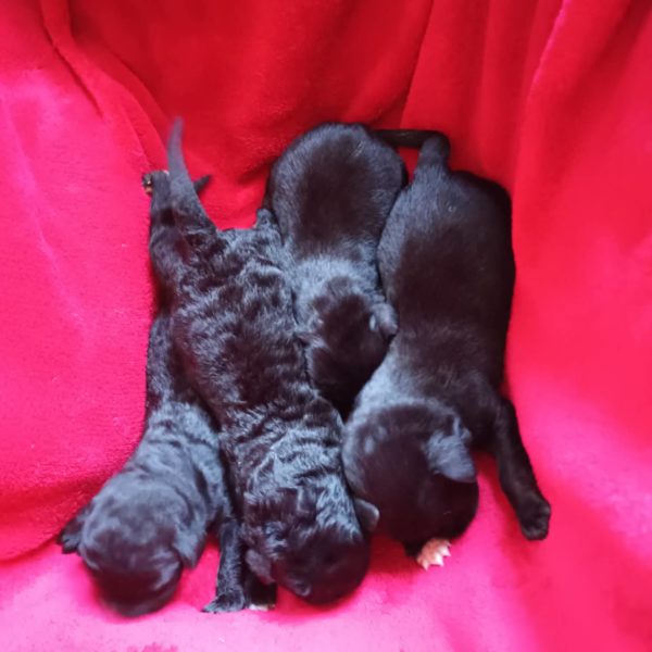 312179798_2429911217163826_5039970352603679418_n 312179798_2429911217163826_5039970352603679418_n