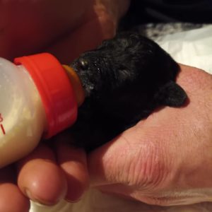 312575854_799124051321575_4382368377102569826_n 312575854_799124051321575_4382368377102569826_n