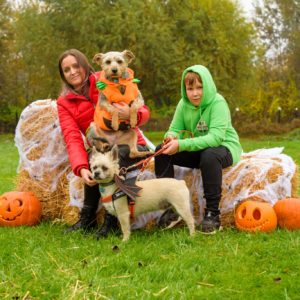 312527667_2336824606471079_6127634507887852417_n 312527667_2336824606471079_6127634507887852417_n