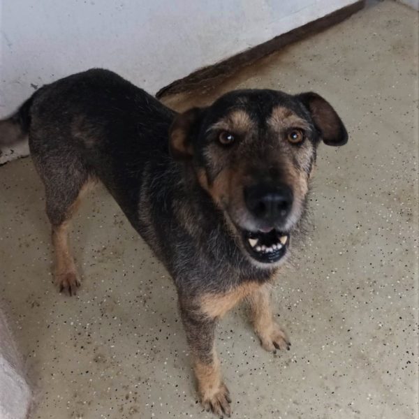 315423070_2351386608348212_1631133670024469444_n 315423070_2351386608348212_1631133670024469444_n