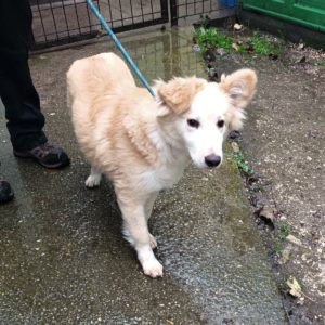 315843505_2351386511681555_8836294673820999103_n 315843505_2351386511681555_8836294673820999103_n