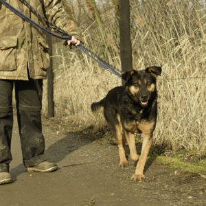 33_ebarvahaz_-091 33_ebarvahaz_-091