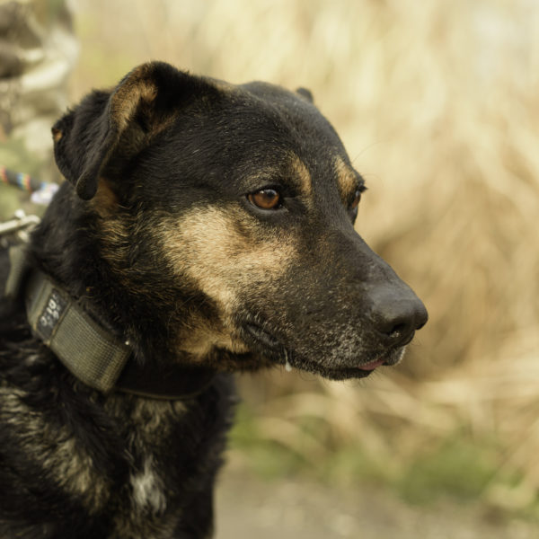 33_ebarvahaz_-100 33_ebarvahaz_-100