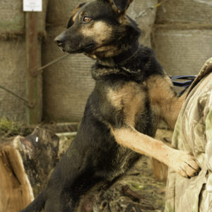 33_ebarvahaz_-113 33_ebarvahaz_-113