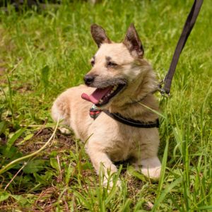 43_ebarvahaz_-195 43_ebarvahaz_-195