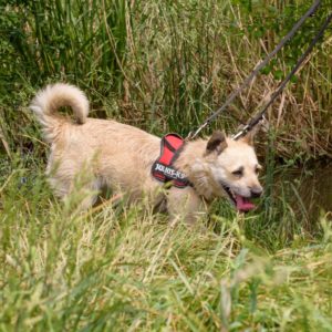 43_ebarvahaz_-206 43_ebarvahaz_-206