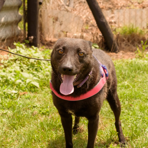 44_ebarvahaz_-078 44_ebarvahaz_-078